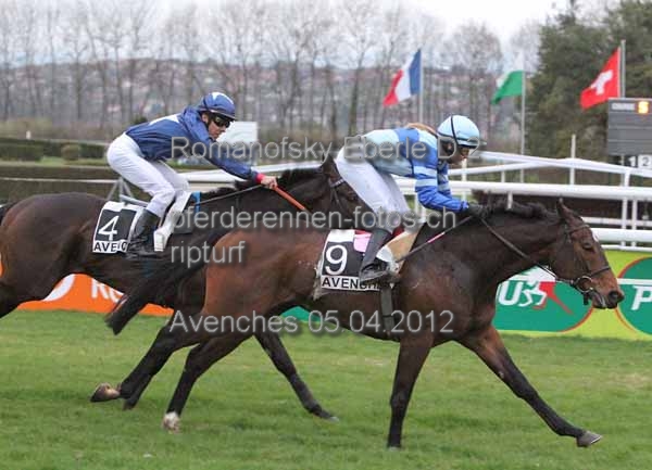 Romanofsky Eberle D 2 prot